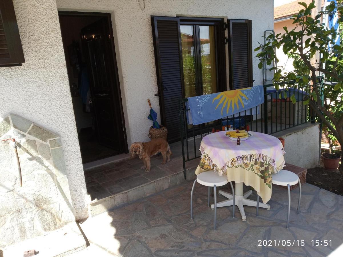 Sea View Dilesi Villa Dhílesi Eksteriør billede
